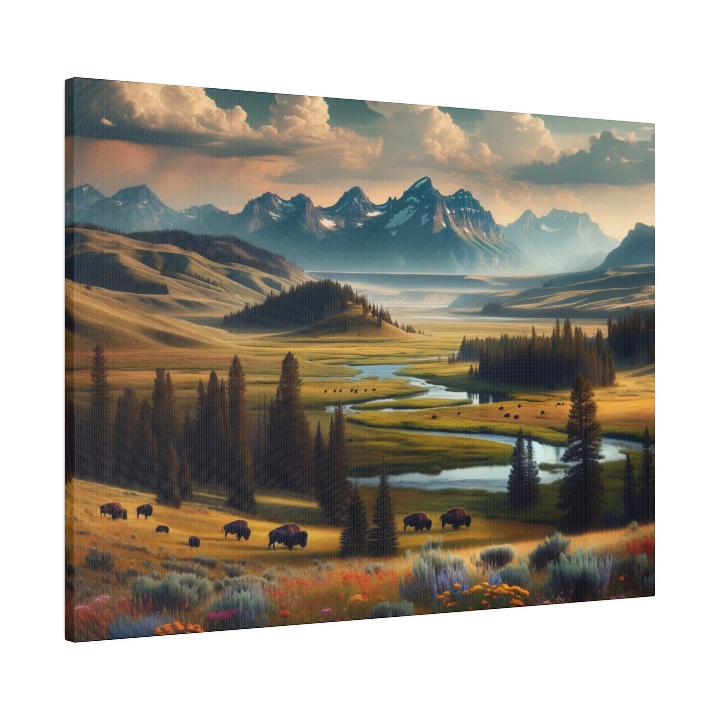 Bison Valley - Canvas, Posters & Digital Downloads